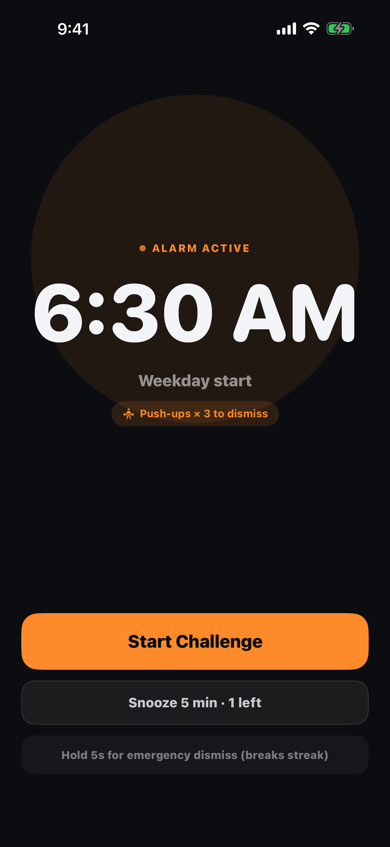 Alarm ringing screen